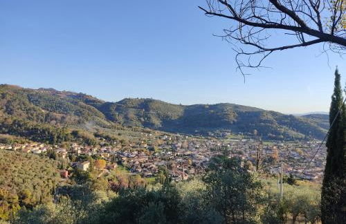 la tana del geco - Foto 55