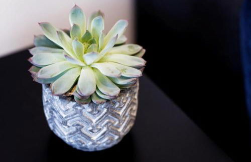 LUXE & VUE MER à Ouistreham Riva Bella, LUXURY & SEA VIEW - Photo 16