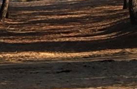 La possibilité d’une île - Foto 4