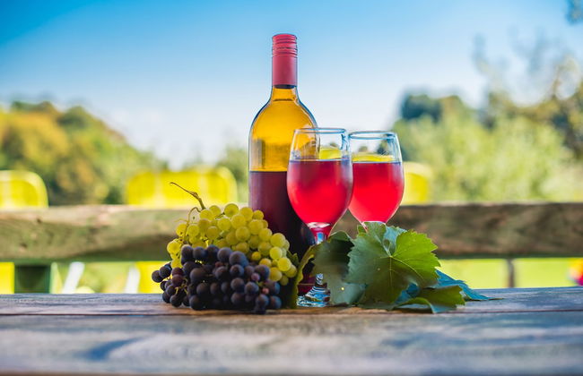 Apartments Vinska Trta - Photo 57