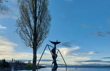 R7 Bodensee mit Seesicht sonnig ruhig groß - Foto 26