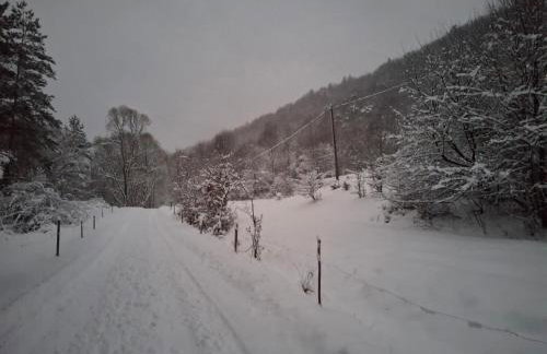 W dolinie Huty - Foto 26