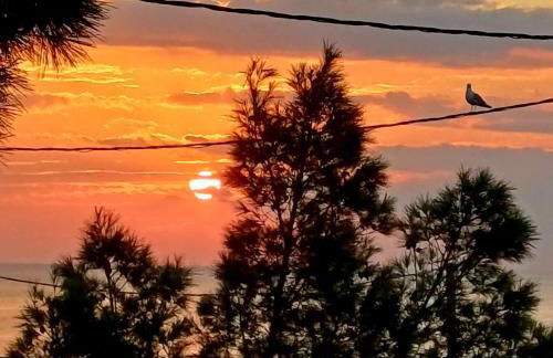 Kalimera Aegina - Foto 23