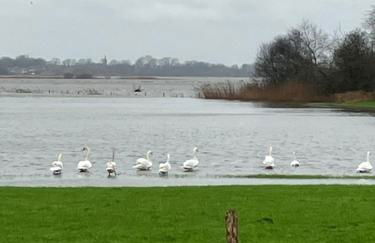 Gîte des champs fondus - Foto 33