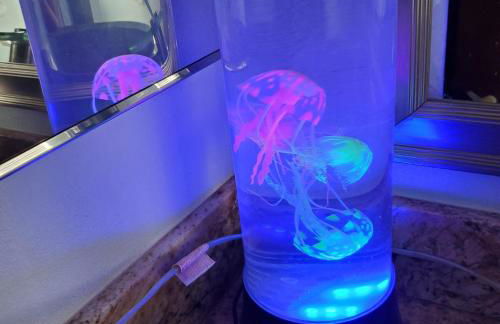 Star Gazer's Paradise - Foto 18