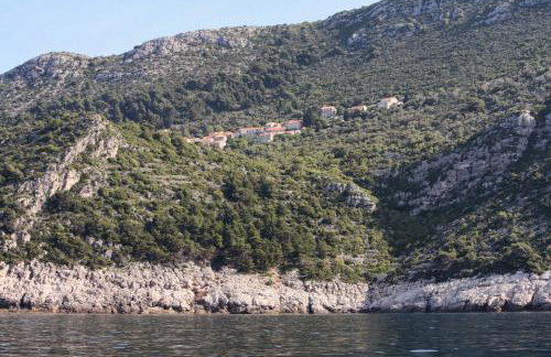 Apartments with parking space Maranovici, Mljet - 22339 - Foto 27