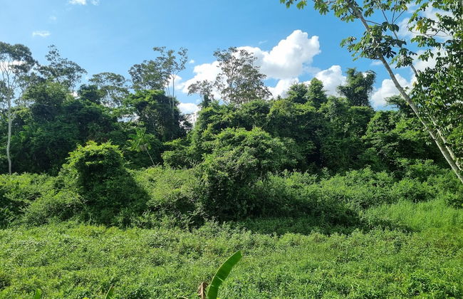 Parakreek Apartments - Photo 16