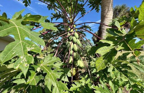 Villa with swimming pool & spa in quiet area - Foto 63