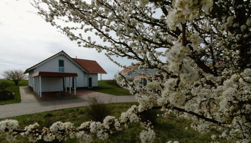 Villa Adlerhorst - Foto 2