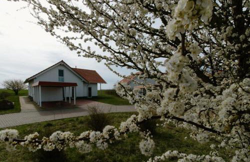 Villa Adlerhorst - Foto 2