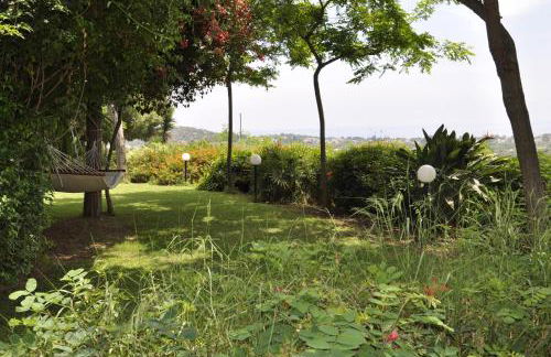 Bed & Breakfast Agriturismo San Macario - Foto 19