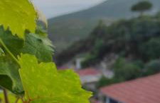 The little house - Photo 24