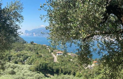 Casa Filomena - Photo 29