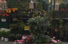 Cittadella 3 - Foto 26