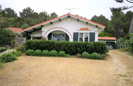 La canopée - Foto 16