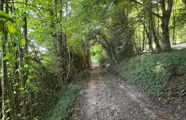 la vallée du paradis studio avec balnéothérapie en campagne - Foto 39