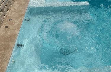 Villa Basthel direct aan zee ,verwarmd zwembad,sauna en garage - Photo 23