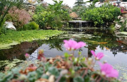 Casona Del Duende - Foto 72