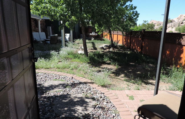 Rock House Haven Retreat - Photo 36