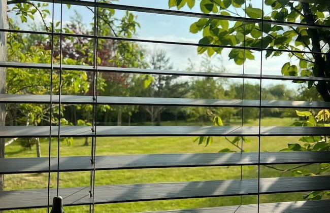 The Hen House - Foto 6