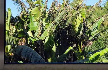 Casa El Castañal con Piscina Privada - Foto 72