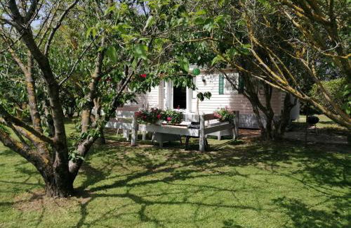 Mas Maurane - L'Olivier avec SPA privé aux portes d'ARLES - Foto 13