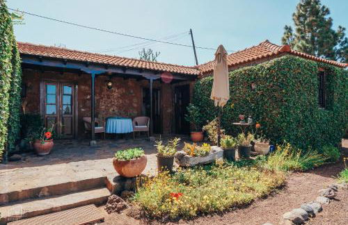 Casa Palmera - Photo 2