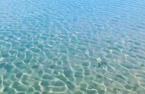 casa dell'artista - Photo 36