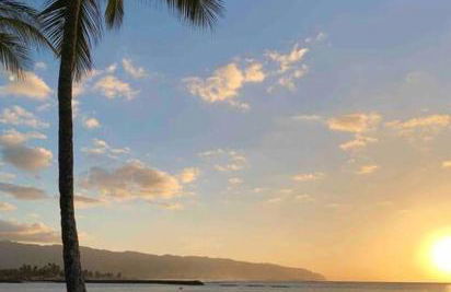 North Shore Garden Suite - Foto 27