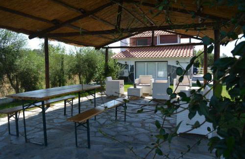 Lusitaurus - Foto 39