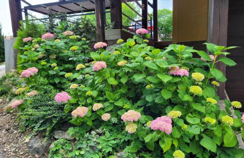 Lily's Rural House - Foto 21