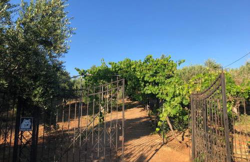 Beautiful Farm House - Foto 25