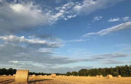 Ferienhaus Seenliebe - Foto 35