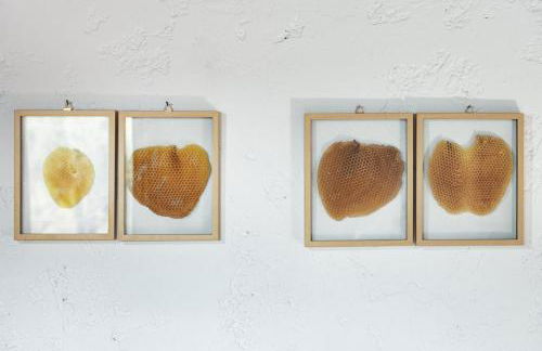 Το σπιτι του μελισσοκομου - Foto 31