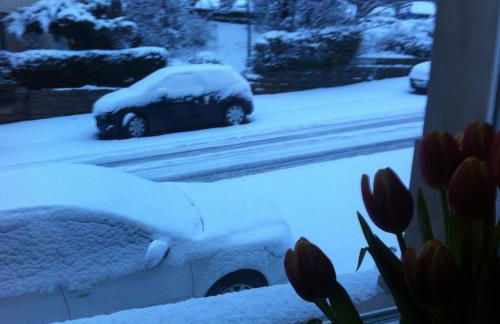 KernerApartement - Photo 24