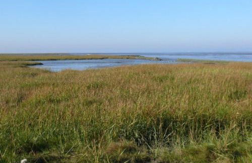 Apartment Ant Blink - Photo 17