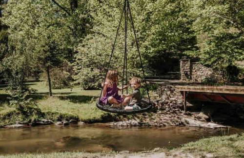 Airstream at a Petting Zoo w/ Hot Tub - Foto 53
