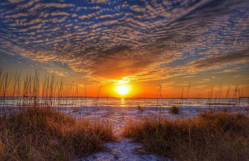 Royal Orleans Resort Unit 113 - Foto 20