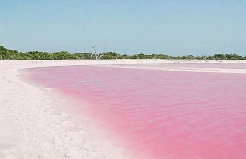 Apartamento Migos 350m from the sea, Playa del Acequión, - Foto 44