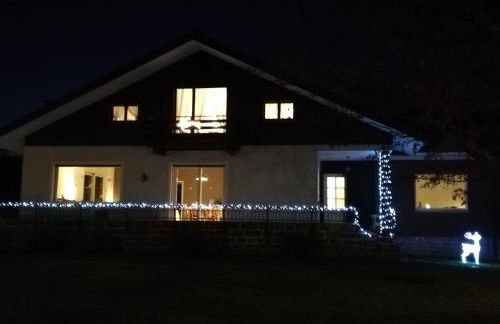 I tulipani - Foto 42