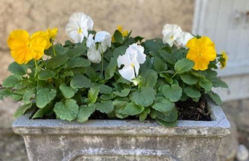 Gite La Folie - Foto 14