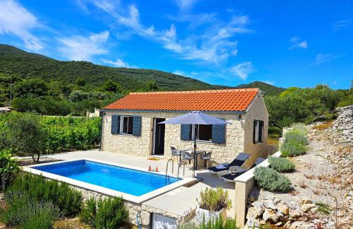 Stone house in vineyard - Photo 1