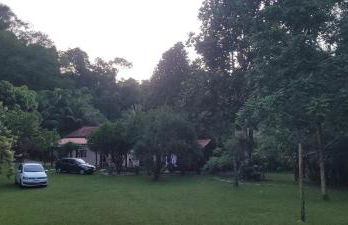 Sítio Com riacho particular em Cachoeira de Macacu - Foto 16