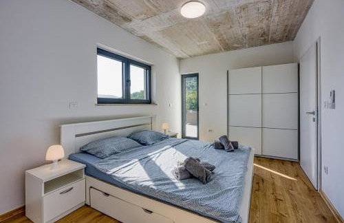 Villa Nono Spinovci - Foto 28