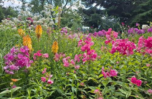 Bernhardsberg - Foto 44