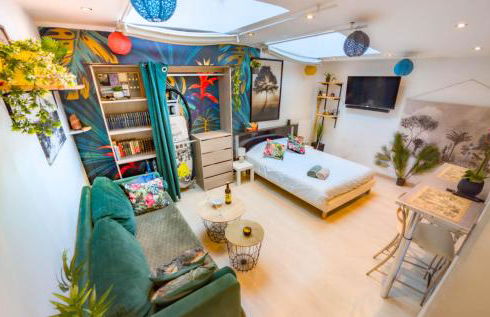 Jungle Studio - 2P à 4P -Henriville - Foto 13