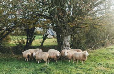 Ferme de Franqueville - Foto 37