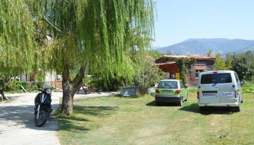 Mr. Greek Villa - Foto 2, Garden