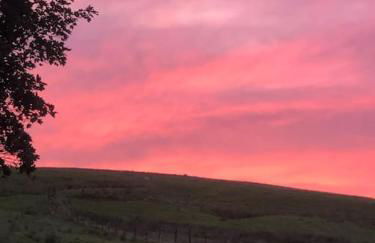 Merril Grove Farm Cottages for larger group stays. - Photo 63