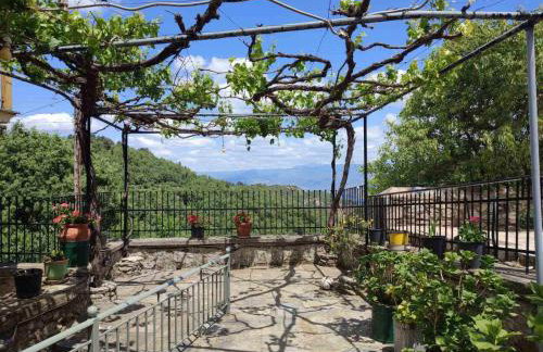 Wanderer's Lodge - Foto 34